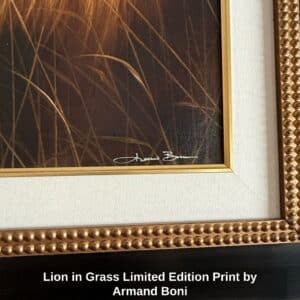 Lion-in-Grass-Limited-Edition-Print-by-Armand-Boni-third-image