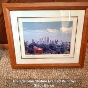 Philadelphia-Skyline-Framed-Print-by-Stacy-Barco