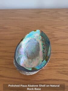 Polished-Paua-Abalone-Shell-on-Natural-Rock-Base-second-image