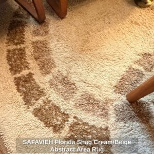 SAFAVIEH-Florida-Shag-Cream-or-Beige-Abstract-Area-Rug