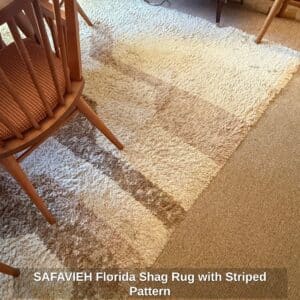 SAFAVIEH-Florida-Shag-Rug-with-Striped-Pattern