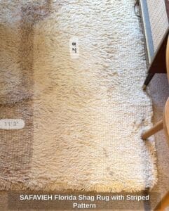 SAFAVIEH-Florida-Shag-Rug-with-Striped-Pattern-second-image