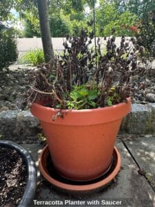 Terracotta-Planter-with-Saucer