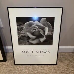 Ansel-Adams-Rose-and-Driftwood-Print