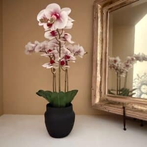 Artificial-Phalaenopsis-Orchid-Plant-in-Black-Pot