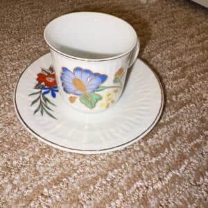 Fine-Porcelain-Teacup-and-Saucer-Set
