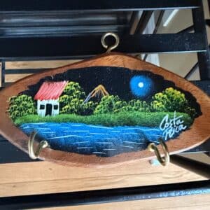 Hand-Painted-Wooden-Plaque-Costa-Rica-Scene-with-Hooks