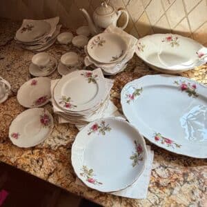 Moss-Rose-Pattern-Porcelain-Tea-Set-and-Dinnerware-Made-in-Japan