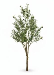 Artificial-Olive-Tree-with-Black-Olives-second-image