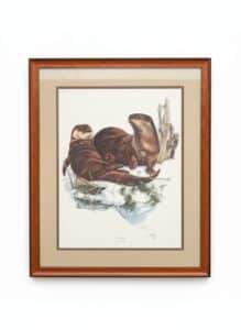 Richard-Timm-River-Otter-Signed-Limited-Edition-Print-fifth-image