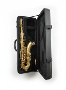 SELMER-TS-PROFESSIONAL-TENOR-SAXOPHONE