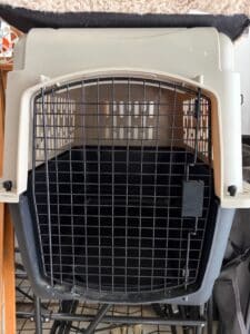 IMG_9431