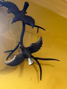 IMG_1394