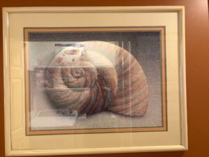 IMG_1688