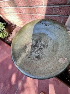 IMG_1183