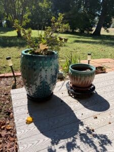 IMG_5106