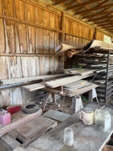 IMG_5880