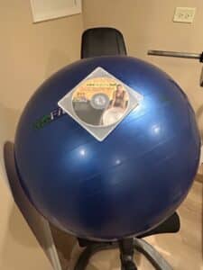 GoFit-cm-Pro-Ball-with-DVD