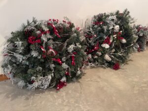 IMG_8184