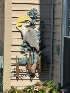 IMG_9471
