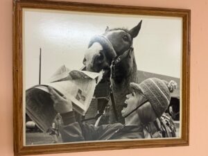 IMG_3455