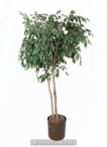 Artificial-Ficus-Tree-219x300-2