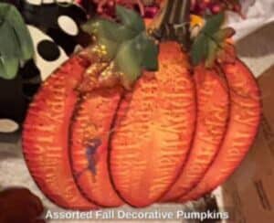 Assorted-Fall-Decorative-Pumpkins-second-image-300x244-2