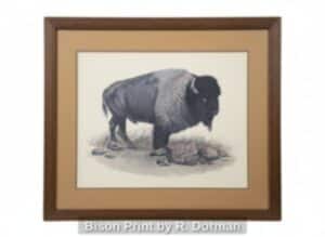 Bison-Print-by-R.-Dorman-300x219-2