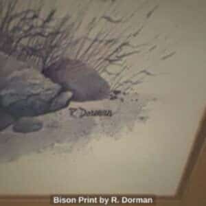 Bison-Print-by-R.-Dorman-second-image-300x300-2
