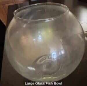 Large-Glass-Fish-Bowl-300x296-2