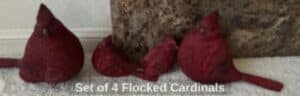 Set-of-Flocked-Cardinals-300x96-2
