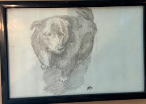 IMG_3095