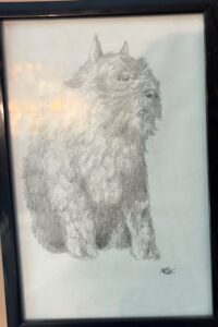 IMG_3096