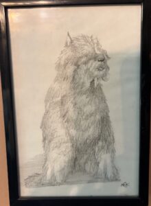 IMG_3098