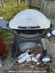 Weber-Q-Portable-Propane-Grill