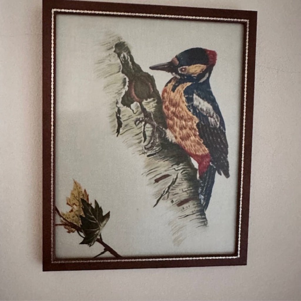 From Workshop to You: Rio Vista Estate Sale Packed with Woodworking Gems