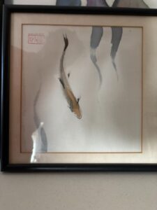 IMG_5154