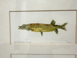 IMG_6032