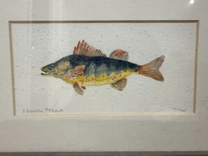 IMG_6034