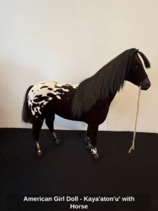 American-Girl-Doll-Kayaatonu-with-Horse-third-image