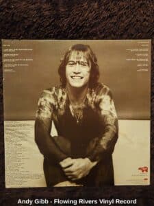 Andy-Gibb-Flowing-Rivers-Vinyl-Record-second-image