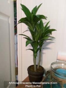 Artificial-Dracaena-Massangeana-Corn-Plant-in-Pot