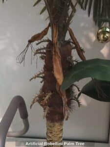 Artificial-Robellini-Palm-Tree-second-image