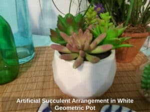 Artificial-Succulent-Arrangement-in-White-Geometric-Pot