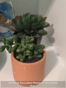 Artificial-Succulent-Plants-in-Terracotta-Pots