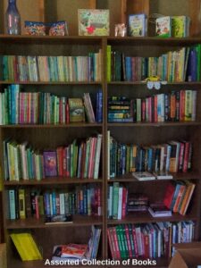 Assorted-Collection-of-Books