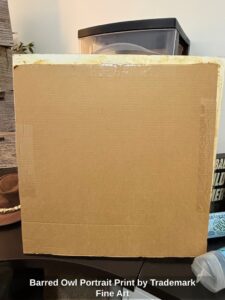 Barred-Owl-Portrait-Print-by-Trademark-Fine-Art-second-image