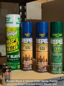Bengal-Wasp-Hornet-Killer-Spray-Family-Formula-Repel-Scented-Insect-Block-and-Sportsmen-Formula-Repel-Insect-Block