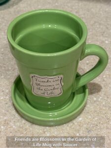 Friends-are-Blossoms-in-the-Garden-of-Life-Mug-with-Saucer