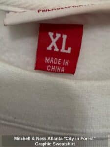 Mitchell-Ness-Atlanta-City-in-Forest-Graphic-Sweatshirt-second-image